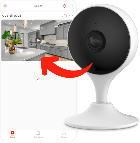 IC Home app and security camera